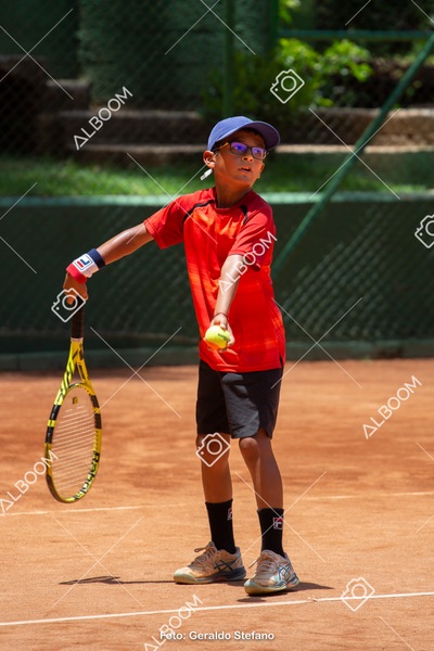 STEF0516.jpg