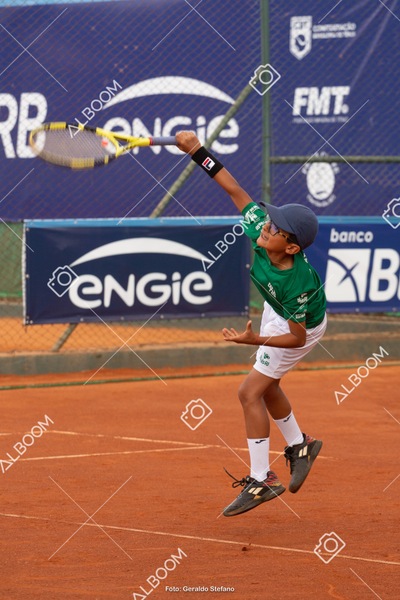 STEF3261.jpg