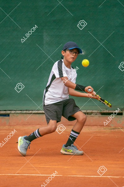 STEF0253.jpg