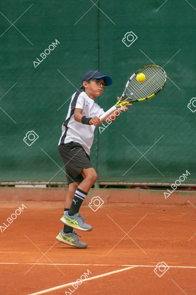STEF0251.jpg