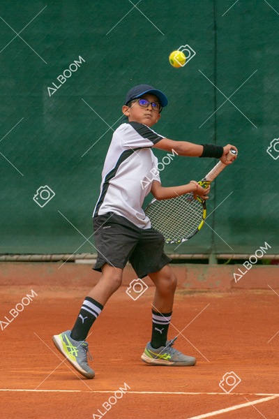 STEF0250.jpg