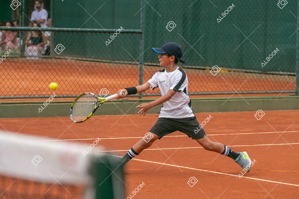STEF0261.jpg