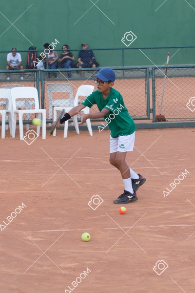STEF0871.jpg