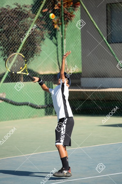 STEF1138.jpg