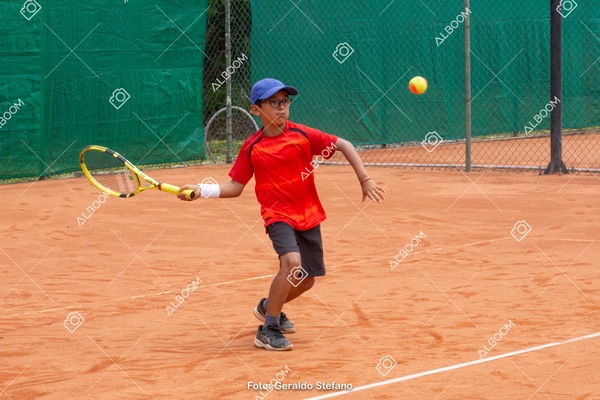 STEF1215.jpg