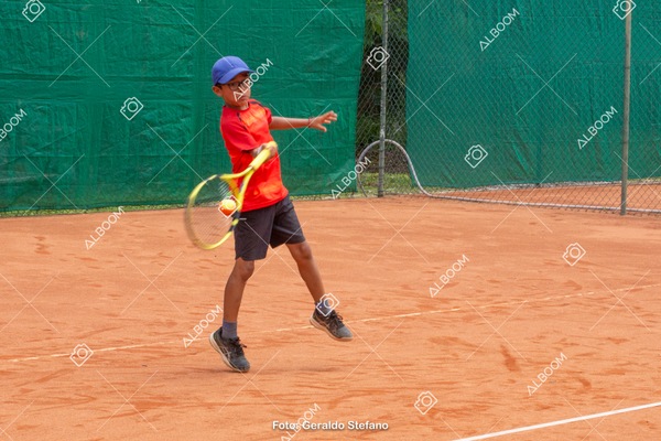 STEF1206.jpg