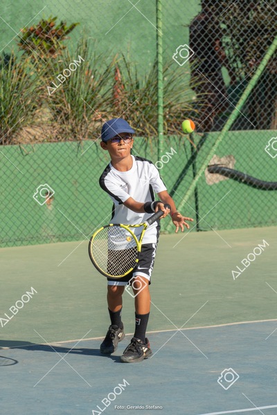 STEF1158.jpg