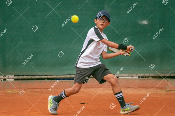 STEF0252.jpg