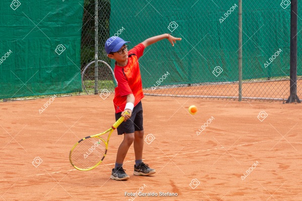 STEF1208.jpg