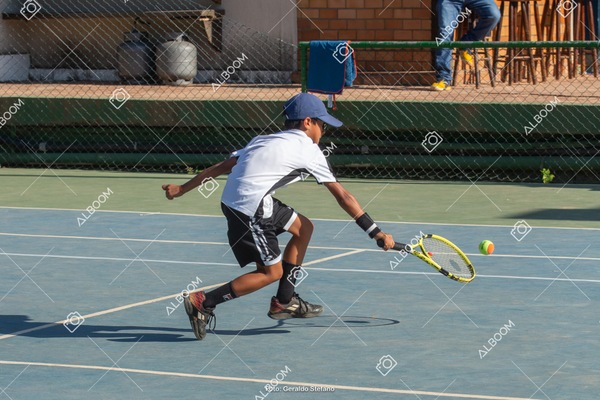 STEF1159.jpg