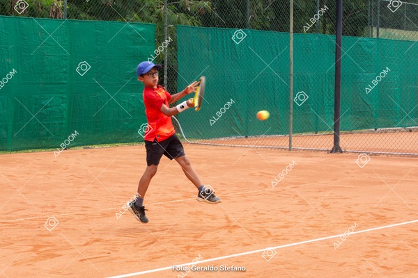 STEF1220.jpg