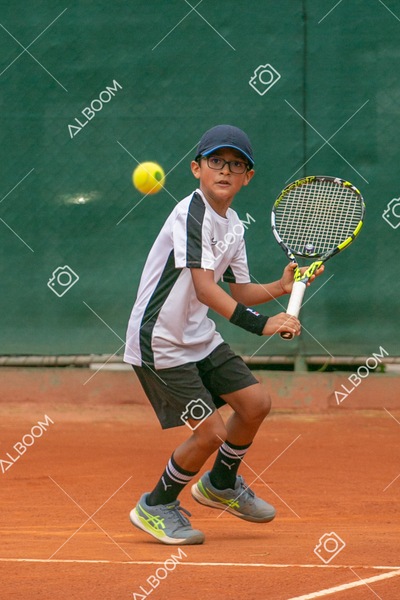 STEF0273.jpg