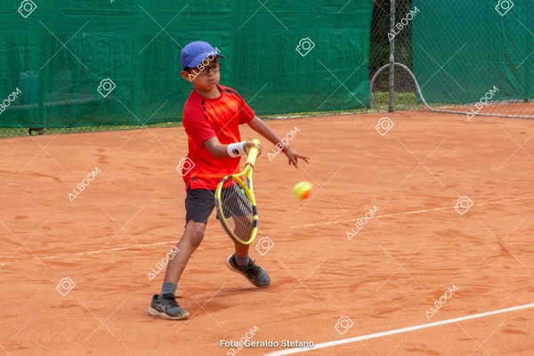 STEF1212.jpg