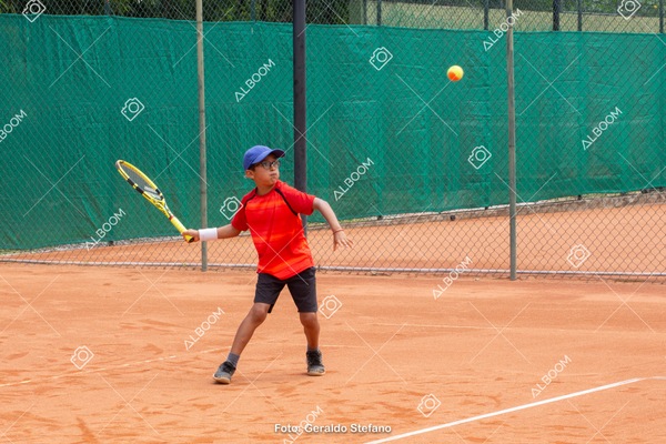 STEF1217.jpg
