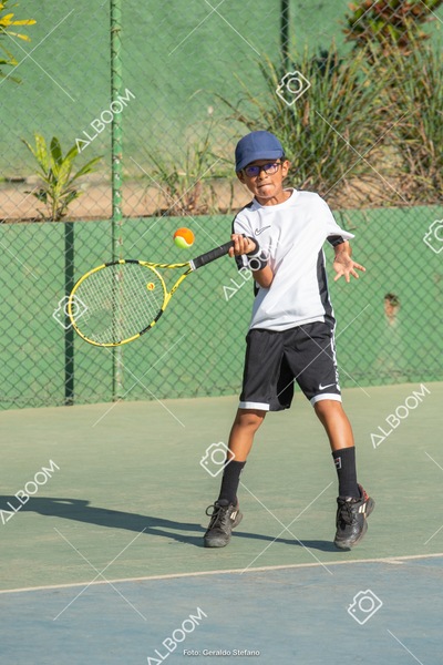 STEF1144.jpg
