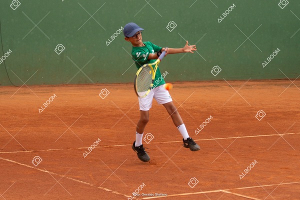 STEF3263.jpg