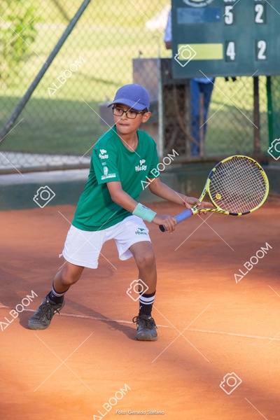 STEF2012.jpg
