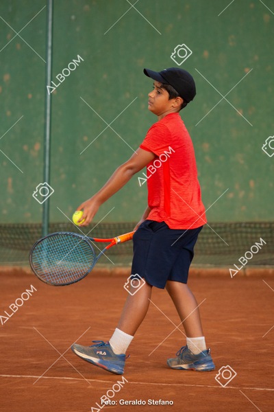 STEF0004.jpg