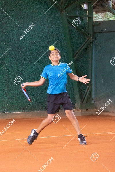 STEF6667.jpg