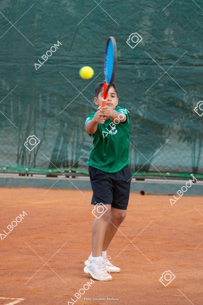 STEF2750.jpg