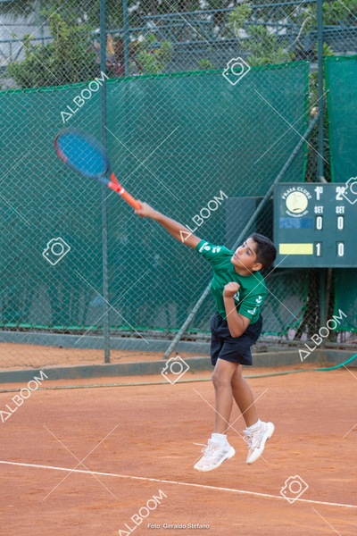 STEF2751.jpg