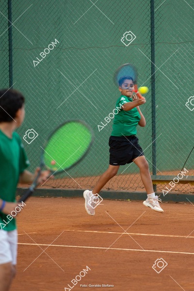 STEF2761.jpg