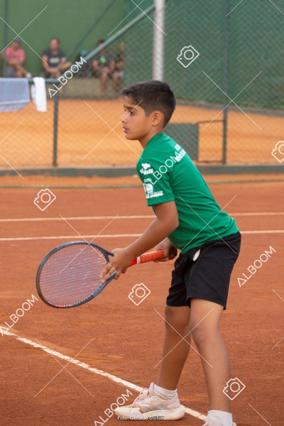 STEF2743.jpg