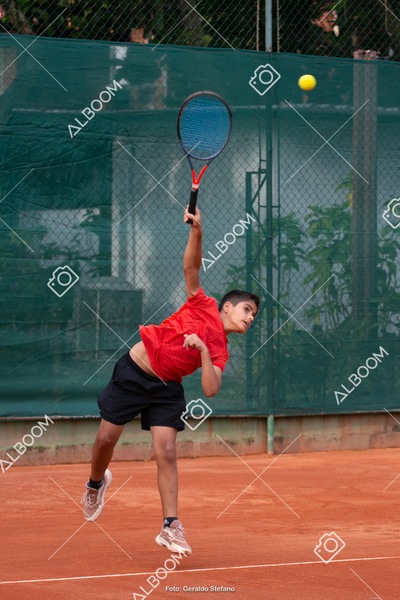 STEF0815.jpg