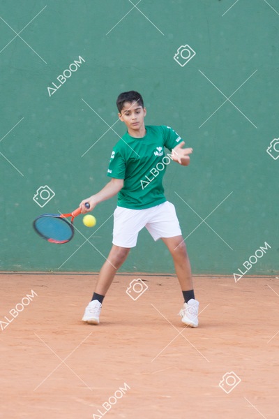 STEF0955.jpg