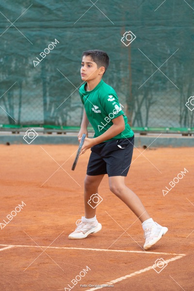 STEF2747.jpg