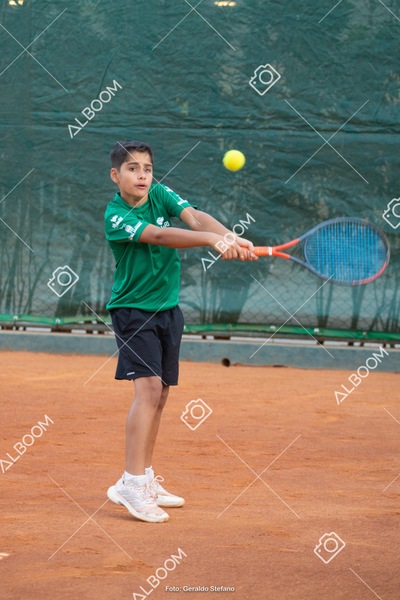 STEF2749.jpg