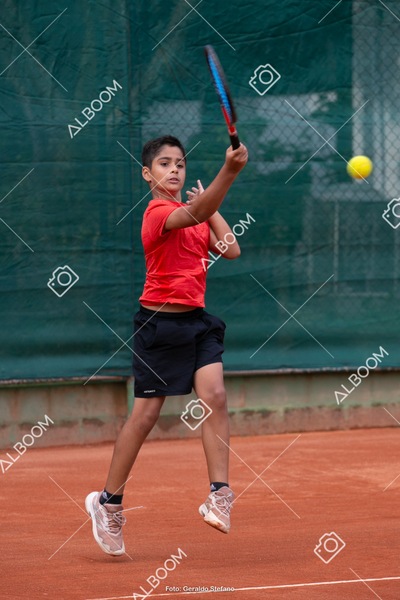 STEF0818.jpg
