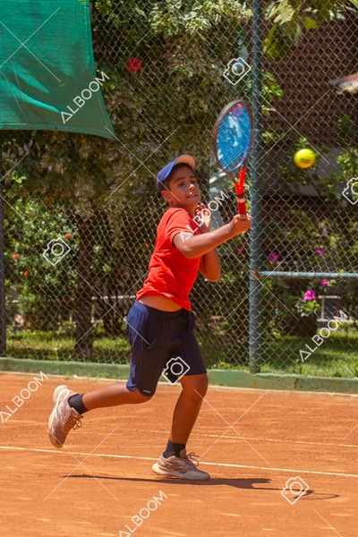 STEF8583.jpg