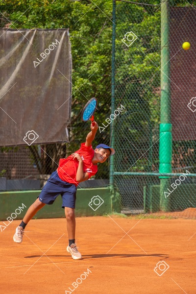STEF8813.jpg