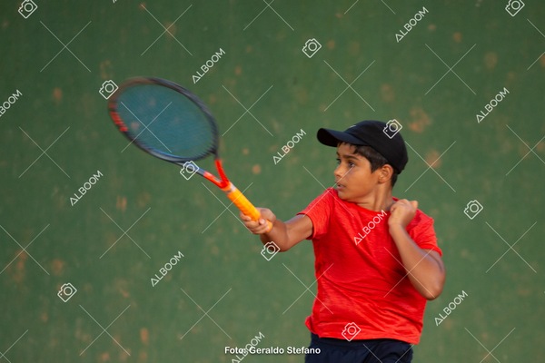 STEF0011.jpg
