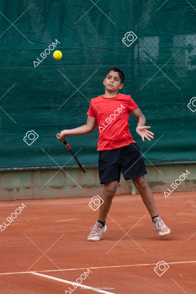 STEF0822.jpg