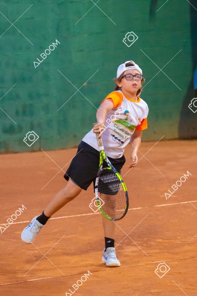 STEF3603.jpg
