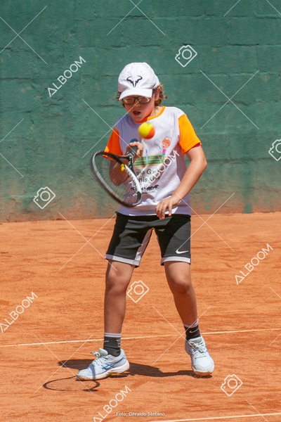 STEF6372.jpg