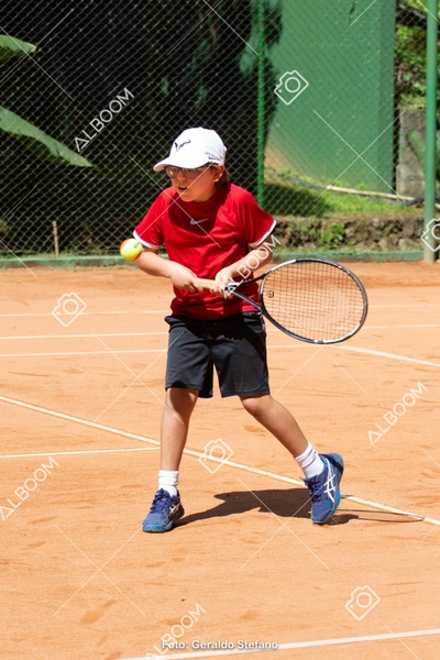STEF0346.jpg