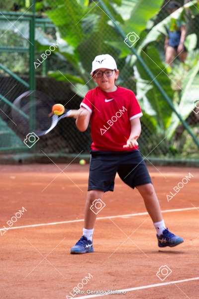 STEF0378.jpg