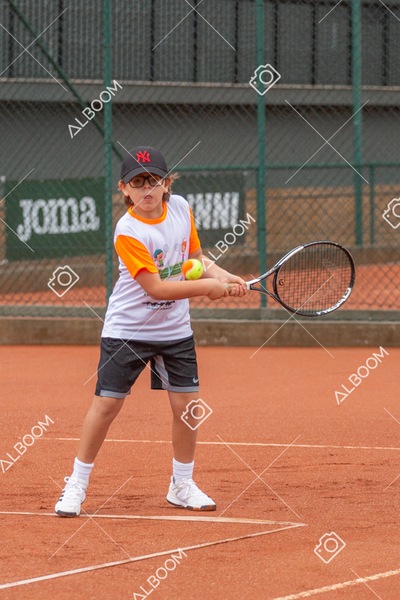 STEF6622.jpg
