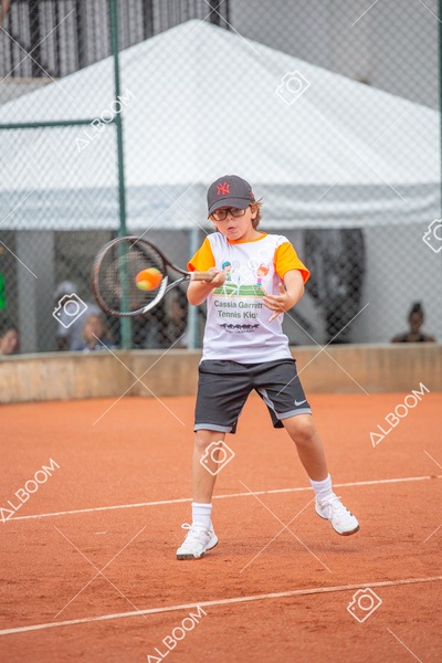 STEF6635.jpg