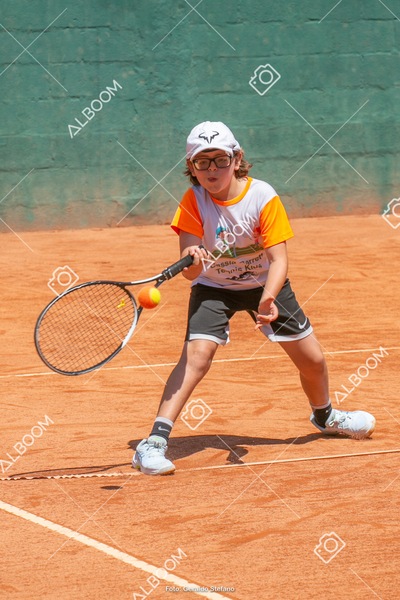 STEF6370.jpg