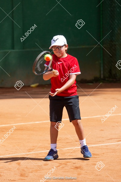 STEF0355.jpg
