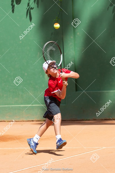 STEF0353.jpg