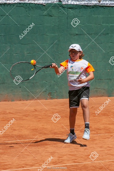 STEF6369.jpg