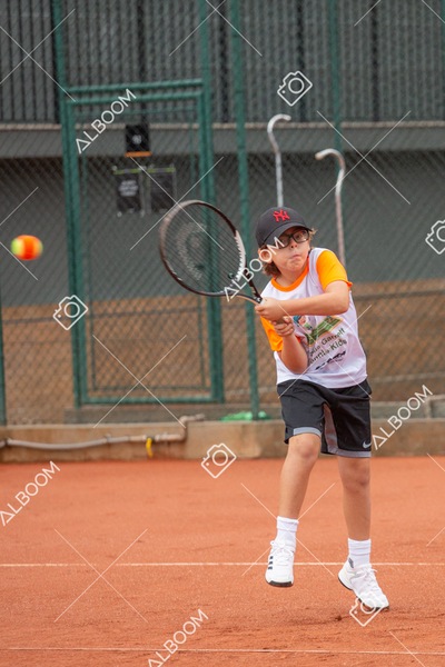 STEF6621.jpg