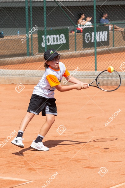 STEF8661.jpg