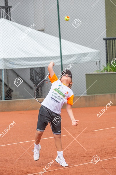 STEF6626.jpg