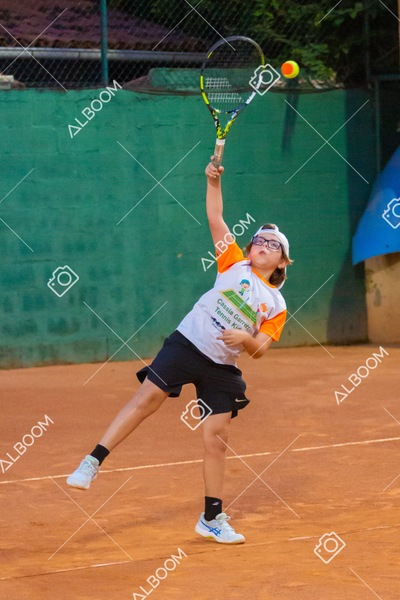 STEF3602.jpg